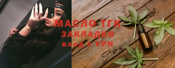 прущий лед Михайлов